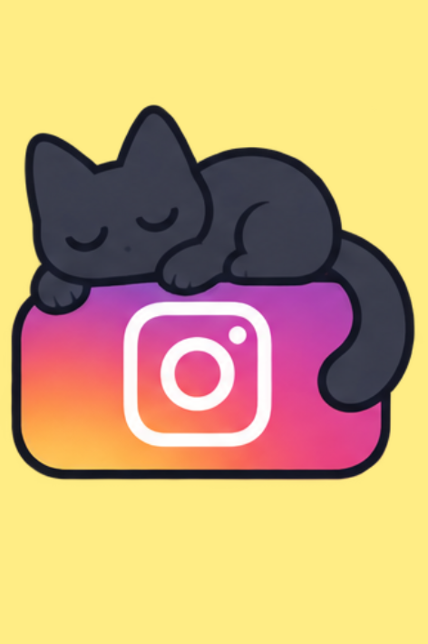 Ster with the Instagram logo