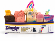 Close view of five colourful handmade Zoapster soap bars in a display sleeve.